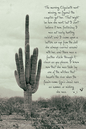 sentinel 036 saguaro story