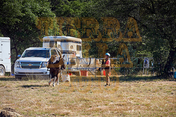 Tierra Bella day 2 20191017 277o2a 7200