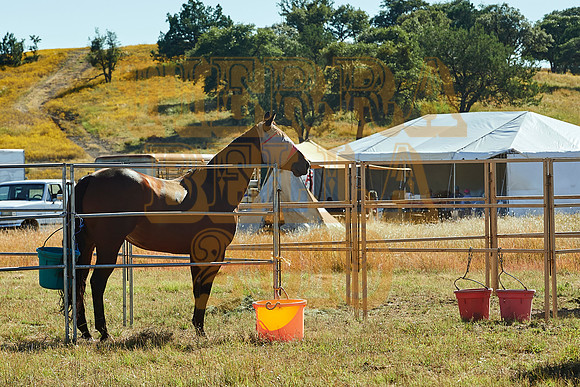Tierra Bella day 1 20191016 001o2a 7200