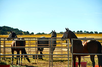 Tierra Bella day 1 20191016 003o2a 7200
