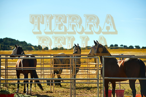 Tierra Bella day 1 20191016 003o2a 7200