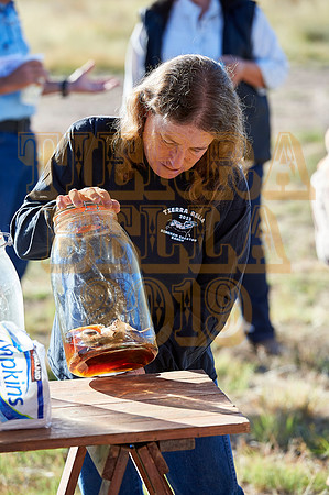 Tierra Bella day 2 20191017 071o2a 7200