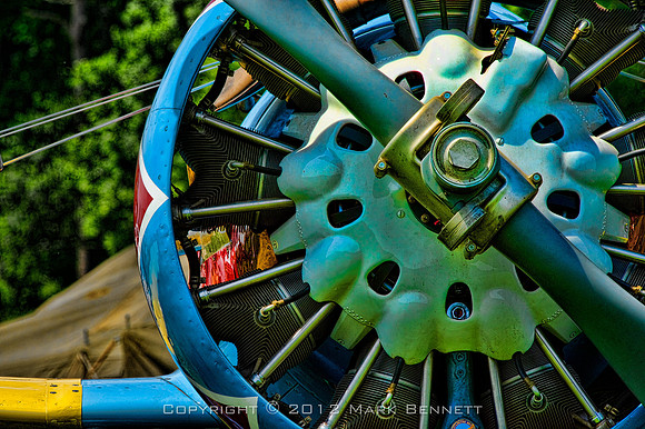 aviationary 108 Peashooter