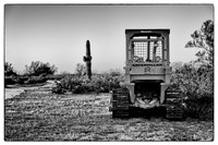 Caterpillar cactus 20150213 01