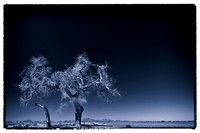 sentinel 069 cottonwood 3k
