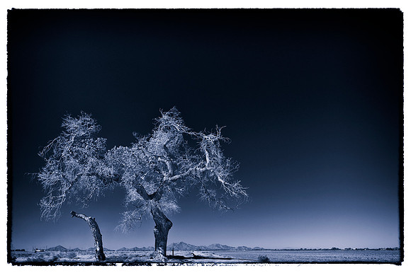 sentinel 069 cottonwood 3k