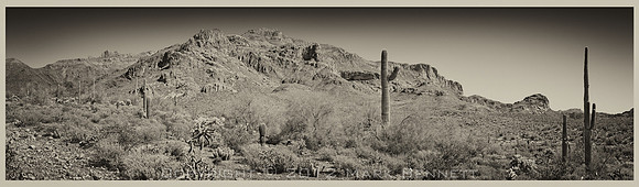 Superstitions pano 20120226aGS
