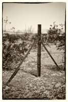 western fence 014 3k