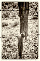 western fence 004 3k