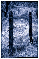 western fence 029 3k