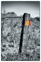 western fence 008 3k