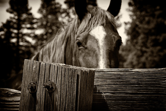 western fence 040 3k