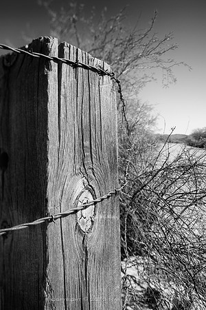 western fence 065