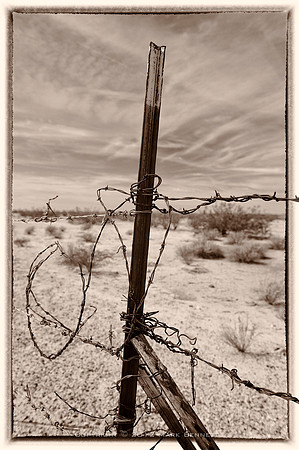 western fence 027