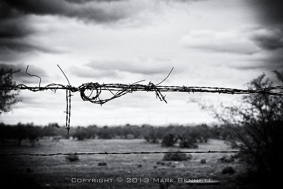 western fence 025