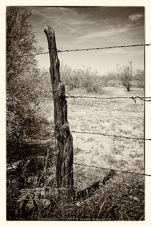 western fence 037