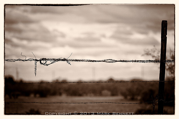 western fence 023