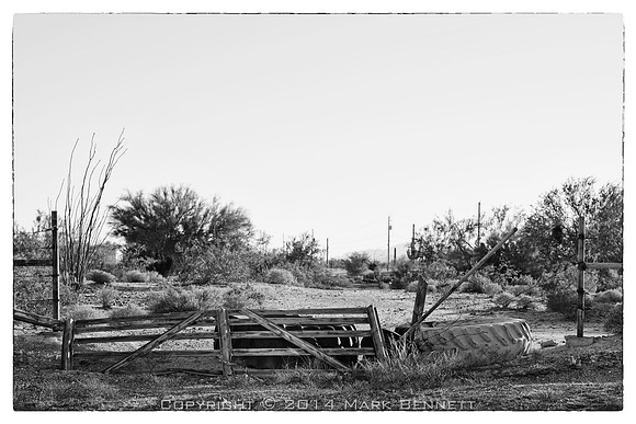 western fence 086