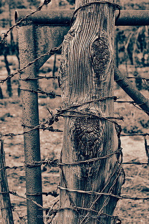 western fence 112