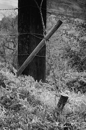 western fence 091