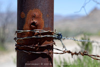western fence 136