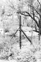 western fence 120