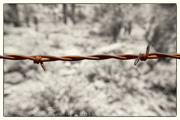 western fence 117