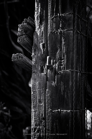 western fence 032