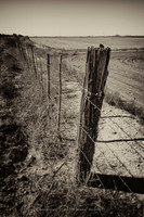 western fence 130
