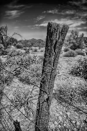 western fence 002