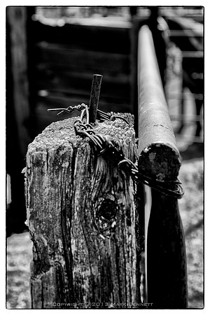 western fence 046