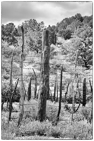 western fence 105
