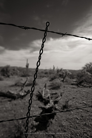 western fence 072