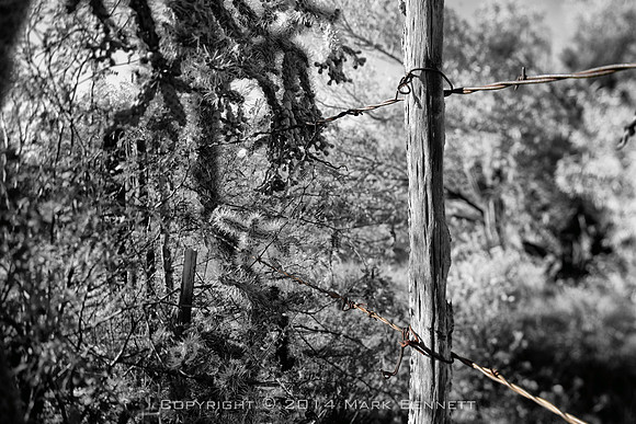 western fence 085