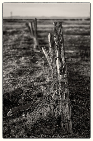 western fence 016