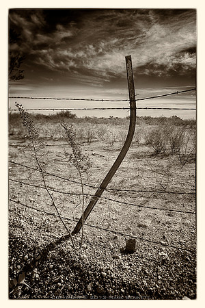 western fence 077