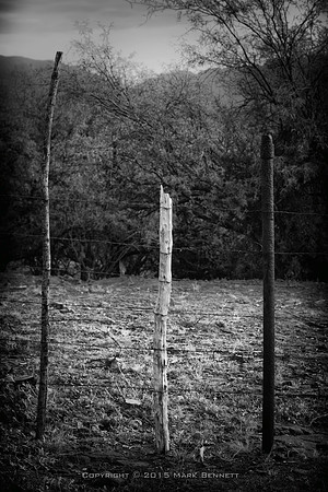 western fence 094