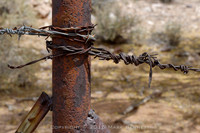 western fence 123