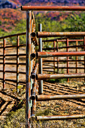 western fence 087