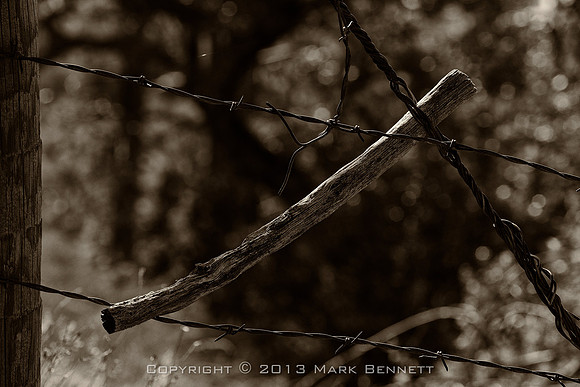 western fence 030