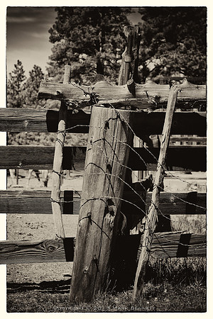 western fence 041