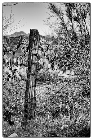 western fence 011