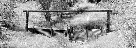 western fence 061