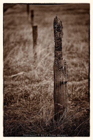 western fence 022