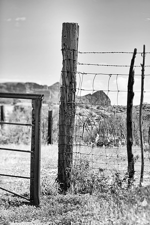 western fence 083