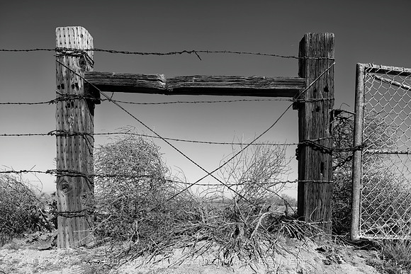 western fence 096