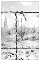 western fence 119