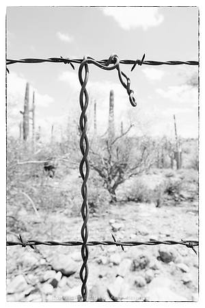 western fence 119