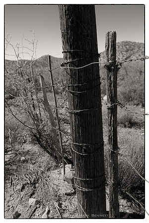 western fence 066