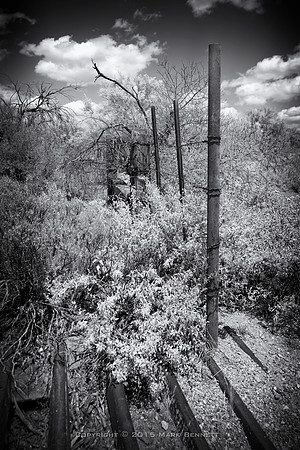 western fence 116
